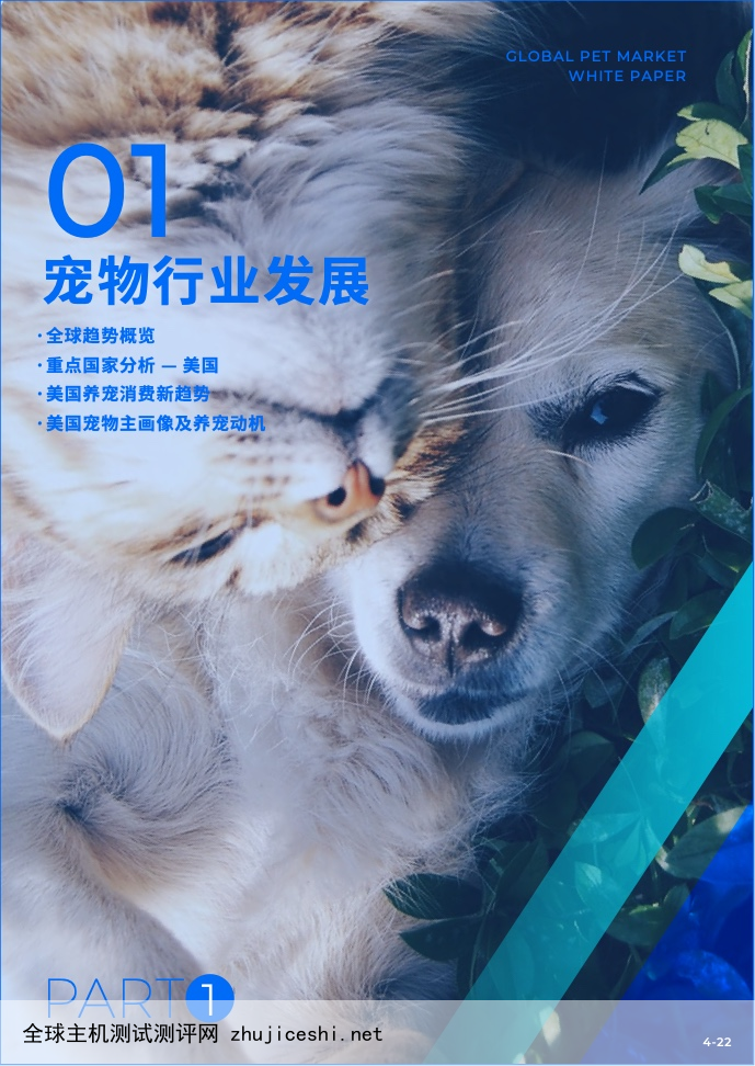 飞书&空中云汇：2022全球宠物市场白皮书（附下载）