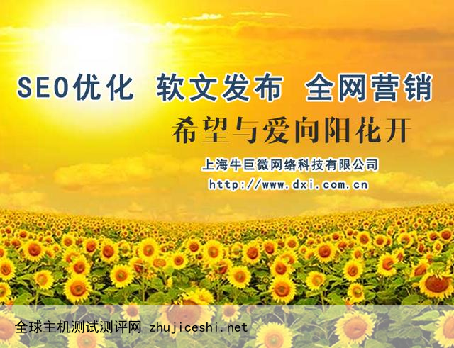 网站SEO推广-牛巨微网站优化