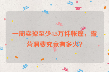 一周卖掉至少4.5万件帐篷，露营消费究竟有多火？