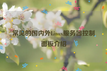常见的国内外Linux服务器控制面板介绍