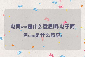 电商sem是什么意思啊(电子商务sem是什么意思)