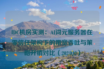 IDC机房实测：AI词元服务器在零信任架构下的带宽吞吐与策略开销对比（2024Q2）