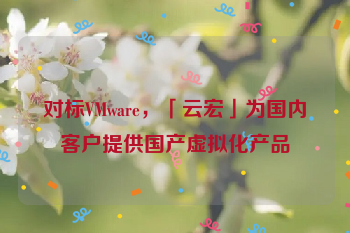 对标VMware，「云宏」为国内客户提供国产虚拟化产品