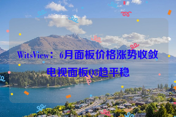 WitsView：6月面板价格涨势收敛电视面板Q3趋平稳