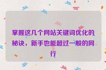 掌握这几个网站关键词优化的秘诀，新手也能超过一般的同行