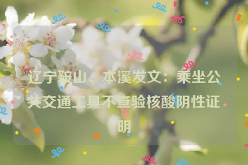 辽宁鞍山、本溪发文：乘坐公共交通工具不查验核酸阴性证明