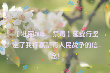 【壮丽70年•禁毒】延安行坚定了我打赢禁毒人民战争的信念！