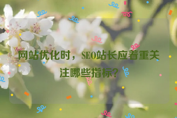 网站优化时，SEO站长应着重关注哪些指标？