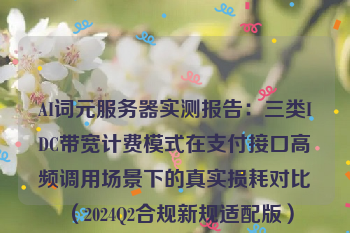 AI词元服务器实测报告:三类IDC带宽计费模式在支付接口高频调用场景下的真实损耗对比(2024Q2合规新规适配版)