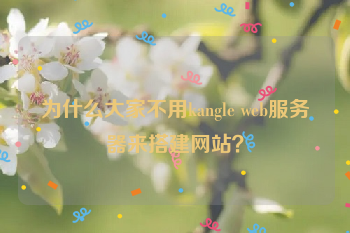 为什么大家不用kangle web服务器来搭建网站？
