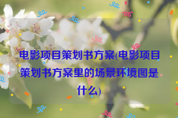 电影项目策划书方案(电影项目策划书方案里的场景环境图是什么)