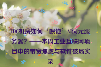 IDC机房如何‘喂饱’AI词元服务器？——本周工业互联网项目中的带宽焦虑与软件破局实录