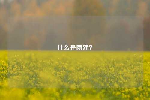 什么是团建？