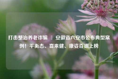 打击整治养老诈骗 ‖ 安徽省六安市公布典型案例！平衡态、喜来健、康姿百德上榜